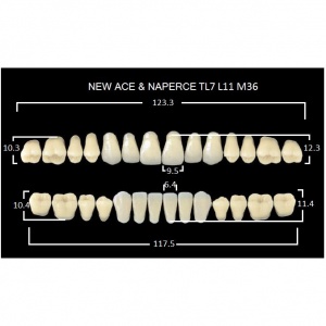Gloria New Ace полный гарнитур фронт верх TL7, фронт низ L11, боковые М36 (28шт.), Yamahachi