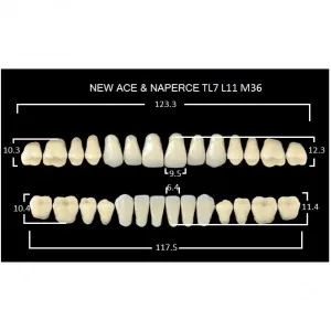 Gloria New Ace полный гарнитур фронт верх TL7, фронт низ L11, боковые М36 (28шт.), Yamahachi