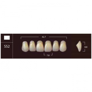 New Ace Anterior - фронтальные верхние, фасон SS2 (6шт.) Yamahachi