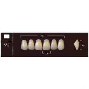 New Ace Anterior - фронтальные верхние, фасон SS2 (6шт.) Yamahachi