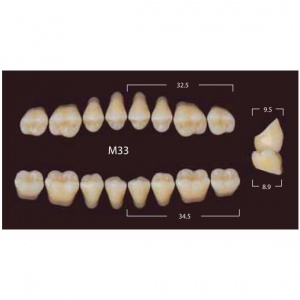 New Million Posterior - 20 боковых гарнитуров в боксе, фасон M33 (320шт.) Yamahachi