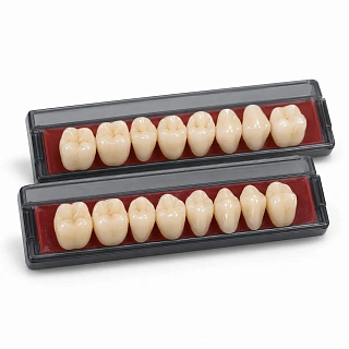 Зубы искусственные