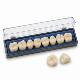 Efucera PX боковые верхние, фасон M32 (8шт.) Yamahachi