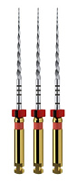 ProTaper Next 21мм. X2 (3шт.), Maillefer — фото товара