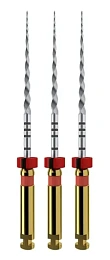 ProTaper Next 31мм. X2 (3шт.), Maillefer — фото товара