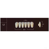 New Ace Anterior - фронтальные нижние, фасон L2, цвет A1 (6шт.) Yamahachi — фото товара