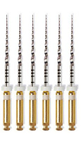ProTaper Universal 31мм. S2 машинный (6шт.), Maillefer — фото товара