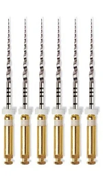 ProTaper Universal 25мм. S2 машинный (6шт.), Maillefer — фото товара
